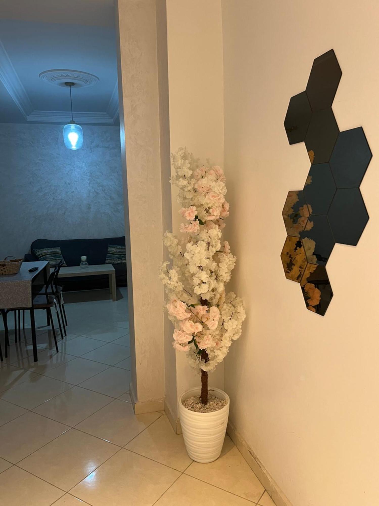 Cozy Appartement Meuble タンジェ エクステリア 写真